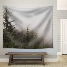 Wall26 - Pine Tree Forest on a Foggy Day Fabric Wall - CVS - 68x80 inches   123310042237